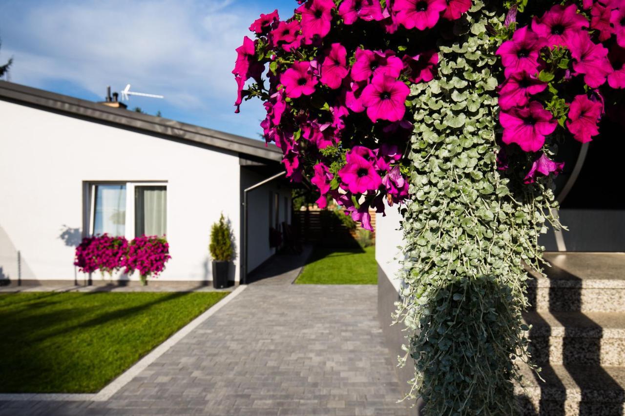 Apartament Asnyka Zamość 外观 照片